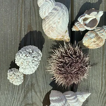 Rorsundet Brygge Villa