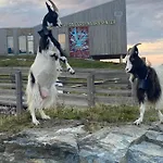 Rorsundet Brygge *
